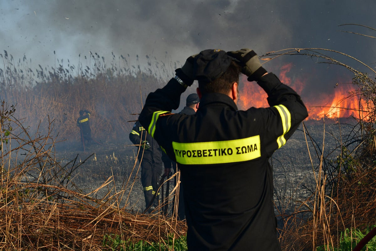 Πυρκαγιά σε αγροτοδασική έκταση στην περιοχή Φραγκαβίλα Αμαλιάδας